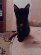 Прикрепленное изображение: 130120081448.jpg