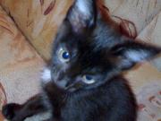 Прикрепленное изображение: 130120081444.jpg