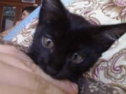 Прикрепленное изображение: 200120081494.jpg