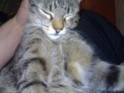 Прикрепленное изображение: 240120081535.jpg
