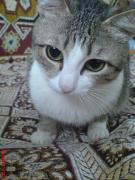Прикрепленное изображение: DSC01247.JPG
