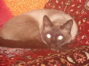 Прикрепленное изображение: DSC01548.JPG