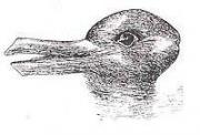 Прикрепленное изображение: 200px_Duck_Rabbit_illusion.jpg