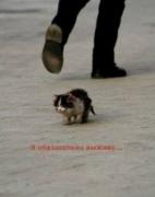 Прикрепленное изображение: 33.jpg