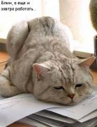 Прикрепленное изображение: 11040811_339_b.jpg