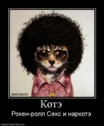 Прикрепленное изображение: 417496_kote.thumbnail.jpg