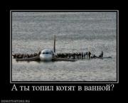 Прикрепленное изображение: 371289_a_tyi_topil_kotyat_v_vannoj.thumbnail.jpg