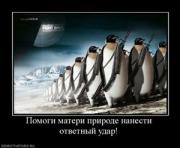 Прикрепленное изображение: 557402_pomogi_materi_prirode_nanesti_otvetnyij_udar.thumbnail.jpg