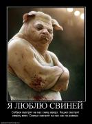Прикрепленное изображение: 482455_ya_lyublyu_svinej.jpg