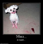 Прикрепленное изображение: 249151_ubil.jpg