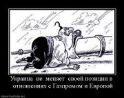 Прикрепленное изображение: 298934_ukraina_ne_menyaet_svoej_pozitsii_v_otnosheniyah_s_gazpromom_i_evropoj.jpg