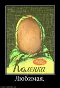Прикрепленное изображение: 887466_lyubimaya.jpg