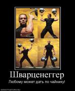 Прикрепленное изображение: 315105_shvartsenegger.jpg