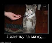 Прикрепленное изображение: 769334_lozhechku_za_mamu.jpg