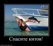 Прикрепленное изображение: 619361_spasite_kitov.jpg