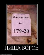 Прикрепленное изображение: 568346_pischa_bogov.jpg