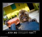 Прикрепленное изображение: 915626_kto_zhe_pizdit_gaz.jpg
