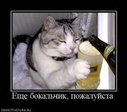 Прикрепленное изображение: 538051_esche_bokalchik_pozhalujsta.jpg