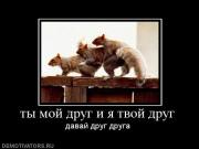 Прикрепленное изображение: 894143_tyi_moj_drug_i_ya_tvoj_drug.jpg