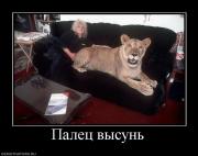 Прикрепленное изображение: 325720_palets_vyisun.jpg
