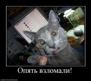 Прикрепленное изображение: 663013_opyat_vzlomali.jpg