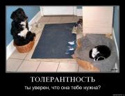 Прикрепленное изображение: 5fawqycu6soz.jpg