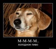 Прикрепленное изображение: 4xjpsf4dn.jpg