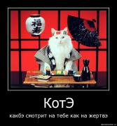 Прикрепленное изображение: 9ai5e0wdzsy5.jpg