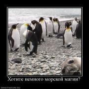 Прикрепленное изображение: 1.jpg