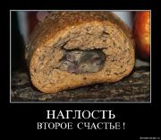 Прикрепленное изображение: 1.jpg