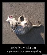 Прикрепленное изображение: 7.jpg