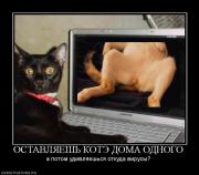 Прикрепленное изображение: 507288_ostavlyaesh_kote_doma_odnogo.jpg