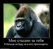 Прикрепленное изображение: 90512_mne_styidno_za_tebya.jpg