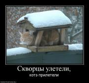 Прикрепленное изображение: 213714_skvortsyi_uleteli.jpg