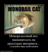 Прикрепленное изображение: 888884_monorelsovyij_kot_znamenitost_na_prostorah_interneta.jpg