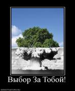 Прикрепленное изображение: 705137_vyibor_za_toboj.jpg