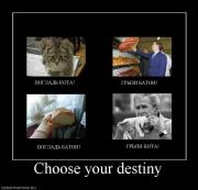 Прикрепленное изображение: 372887_choose_your_destiny.jpg