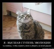 Прикрепленное изображение: 959d35a4e537.jpg