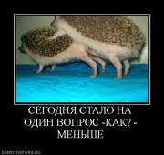 Прикрепленное изображение: 32086_segodnya_stalo_na_odin_vopros_kak_menshe.jpg
