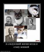Прикрепленное изображение: 699659_v_sleduyuschij_zhizni_kogda_ya_stanu_koshkoj_.jpg