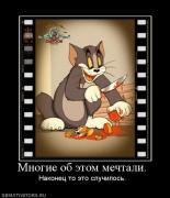Прикрепленное изображение: 256738_mnogie_ob_etom_mechtali_.jpg