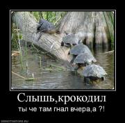 Прикрепленное изображение: 347656_slyishkrokodil.jpg