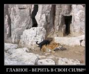 Прикрепленное изображение: x_d846fa58.jpg