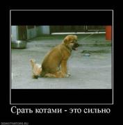 Прикрепленное изображение: 63c4ed6c9d88.jpg