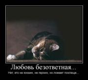 Прикрепленное изображение: x_2586d1e8.jpg