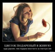 Прикрепленное изображение: de.jpg