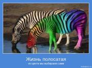 Прикрепленное изображение: motivator_1295.jpg