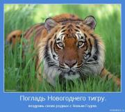 Прикрепленное изображение: motivator_1232.jpeg