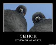 Прикрепленное изображение: 25253_095619_b58ac9b5bce838f798ec4b6738a938eb.jpg
