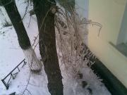 Прикрепленное изображение: 14042009_003_.jpg